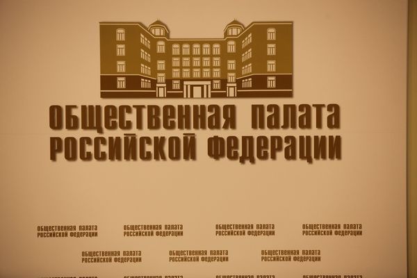 Общественная палата власть. Состав общественной палаты РФ. Общественная палата РФ 2005. Основная цель деятельности общественной палаты РФ:. Слоган для общественной организации.