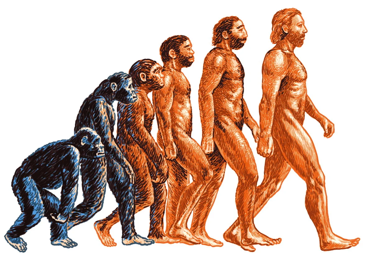 Материалистическая философия теории эволюции: атеистическая идеология или  научный подход? : Богослов.RU